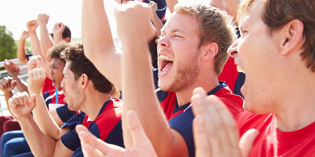 Gemini: Can football fans become climate fans?